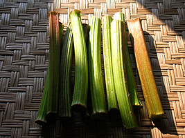 ���s�A�t�s�ł����I