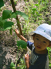 ���N���߂Ă̂��イ��