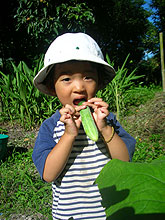 �ƂĂ���������