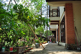 �����̐����