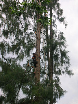 �؂ɓo���Ď}���͂炢�A�ォ�班���������Ă���