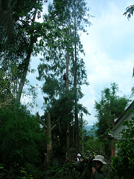 �؂藎�Ƃ��ꂽ�}�⊲���W�߂�l�ȂǑ���10�l�ȏ�̑�d��������