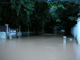 �C���̓�x�͗\�z�O