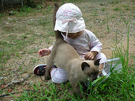 �L�����ƕ���