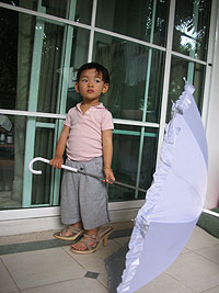 ���΂����̎P�ƃn�C�q�[����q��