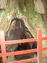 �����_�Ђ̈��Y���K�B�؉ԍ��P ���Ղ��Ă���Ƃ̂���