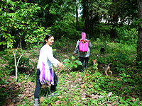 �J�������̃j�R�[���ƕv�̏]�o���̖�Jatu