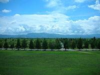 �R�Ɉ͂܂ꂽ�~�n�̑唼���߂�悤�ȍL��ȕ~�n