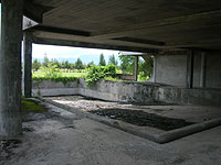 ���L�r���̒��ɂ͎����v�[����