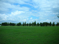 ���L�r���O�̃T�b�J�[��p�n