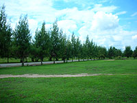 ���݌v�͏I����Ă���l�q