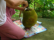 �傫���͐l�̓����傫��