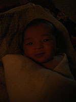 ����1�T�Ԃ̎ʐ^�B����2,3�T�Ԃ͎q�{���Ɠ����悤�ȏ�Ԃ�ۂ��߁A�Â���̒��ŉ߂����܂����B���̂������ȁH������Ȃ������̂�