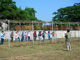 ��O�ɂ���̂��R�����ŉ��ɕ��Ԃ̂��A������B