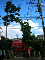 �����̐��c�J�̏��̖�