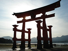 �{���̒���