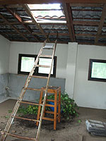 �Ƒ�������r��