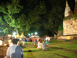 �傫�ȕ����̖؂̉��ł��V���񂪂��b���Ȃ����Ă���̂��F�ŕ����Ă���