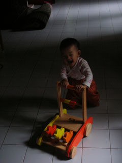 �^���s���A�q�X�e���[������