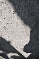 �e�N�X�`���[�ɂق�ڂ�A�T�C�g�̕ǎ��ɂ��g�����I